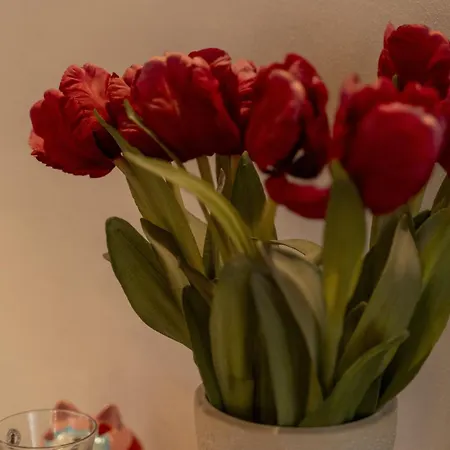 Via Cairoli By Ospitaci Appartamento