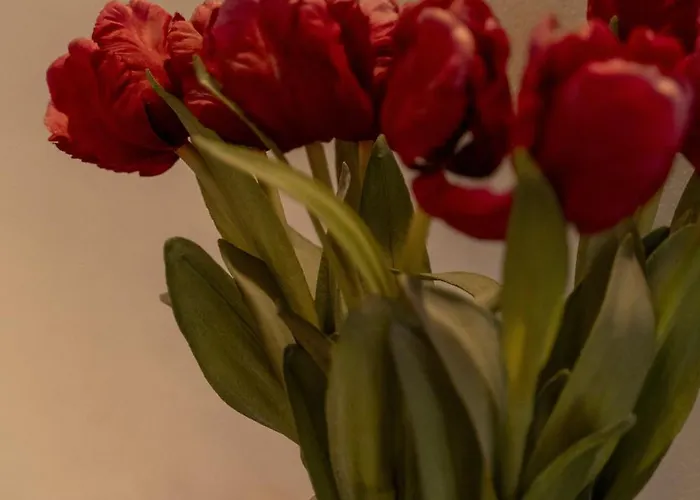 Via Cairoli By Ospitaci Apartment